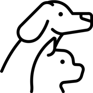 piktogram
